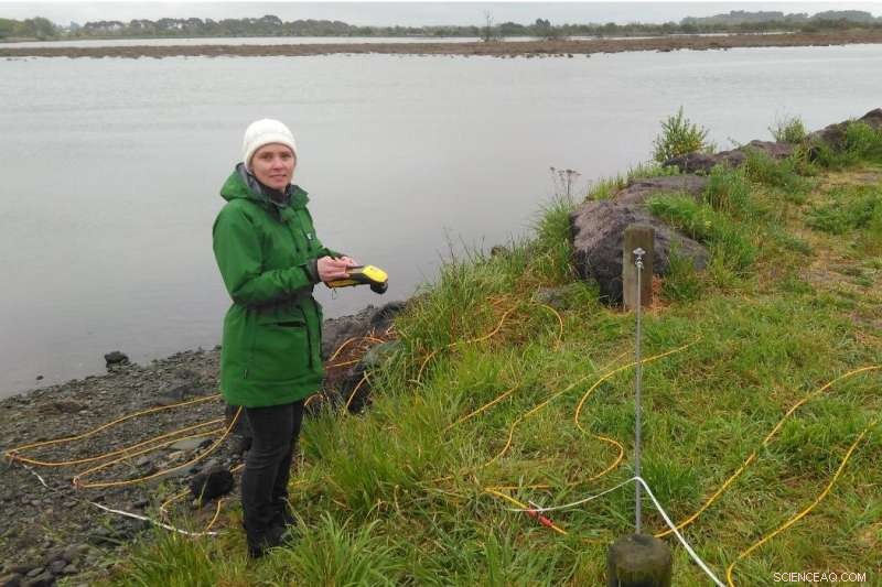 New Study Reveals Offshore Freshwater Aquifers Likely in New Zealand Coastal Regions