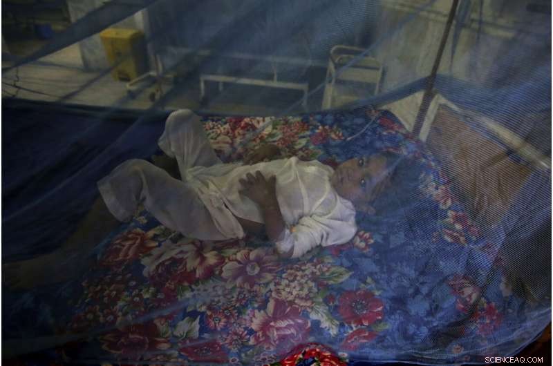 WHO Issues Urgent Disease Alert for Flood-Affected Areas in Pakistan