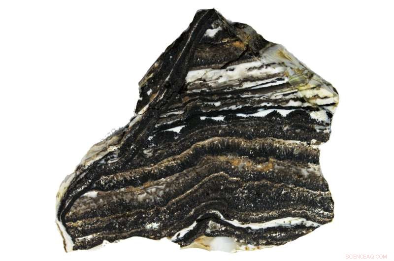 Rock Layer Evidence Reveals Antarctic Ice Sheet’s Climate Cycle Response