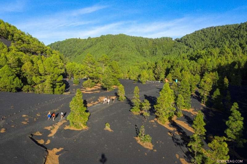 La Palma Volcano Draws Tourists: A New Attraction for Spain s Island