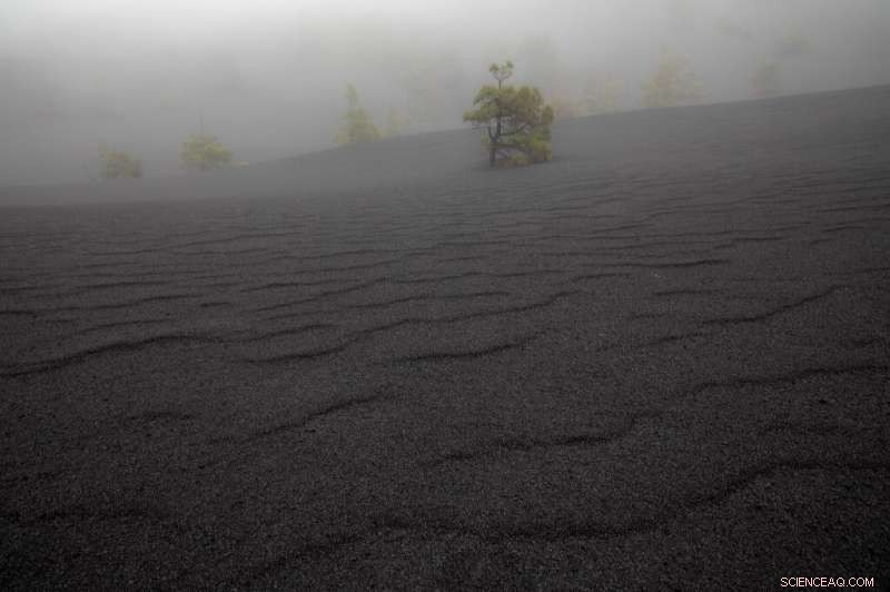 La Palma Volcano Draws Tourists: A New Attraction for Spain s Island