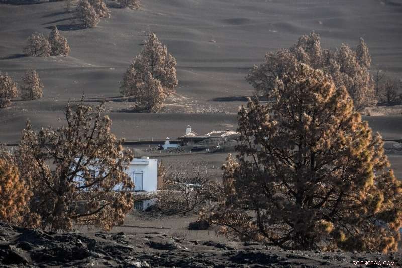 La Palma Residents Face Ongoing Challenges a Year After Volcanic Eruption