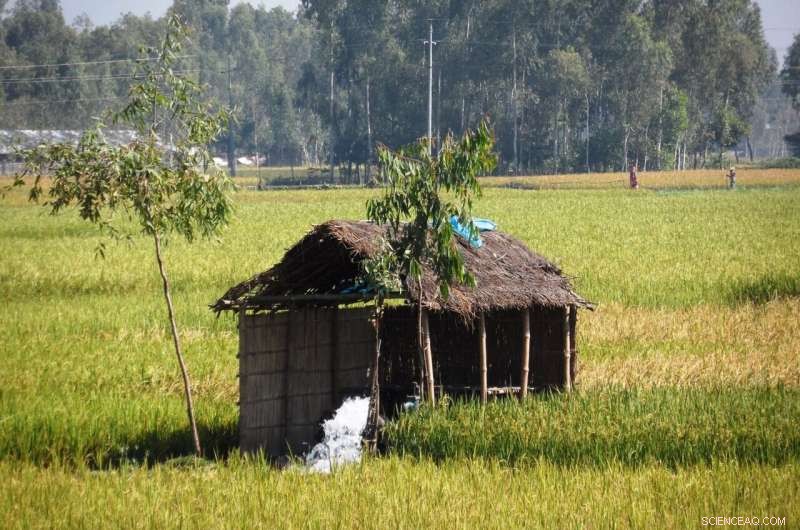 Millions of Farmers Replumb Bangladesh s Largest Delta, Building Natural Reservoirs for Agriculture
