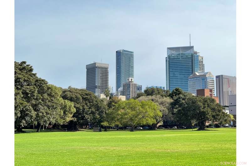 Walkable, Green Urban Spaces Boost Physical Activity