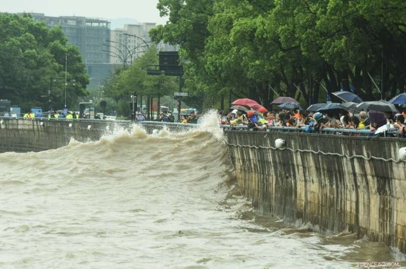 Typhoon Muifa Hits Eastern China, Displaces 1.6 Million Residents