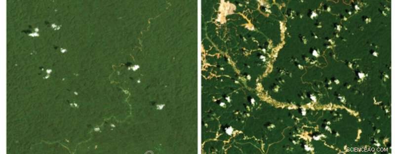 Groundbreaking Study Reveals Unprecedented Changes to Global Rivers