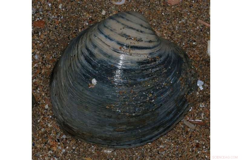 Study Finds North Atlantic Climate Tipping Point Prior to Little Ice Age