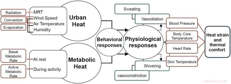 Urban Overheating Poses Personal Health Threats, New Study Shows