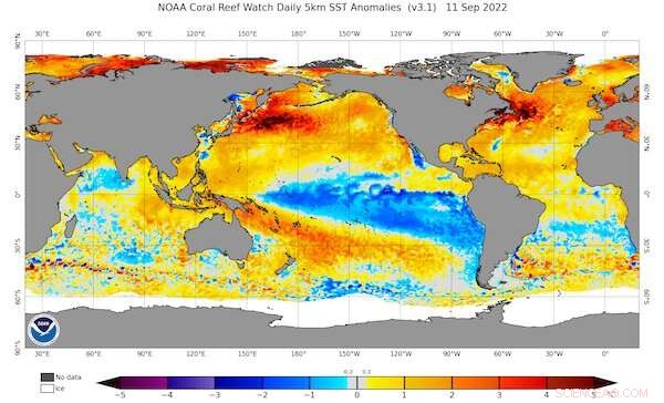 La Niña Strikes Again: What Australian Flood‑Prone Regions Should Expect This Summer