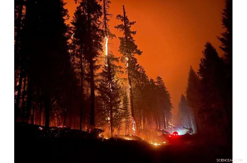 Oregon Wildfire Escalates: Evacuation Orders and Air Quality Alert