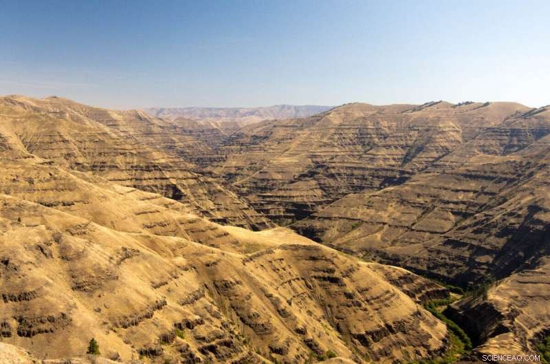 Unveiling the End‑Cretaceous Catastrophe: The Science Behind Dinosaur Extinction