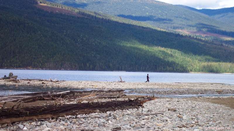 Quesnel Lake s Recovery: From Mount Polley Disaster to Clean Waters