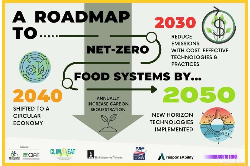 Achieving Net‑Zero Food Systems by 2050: A Strategic Roadmap
