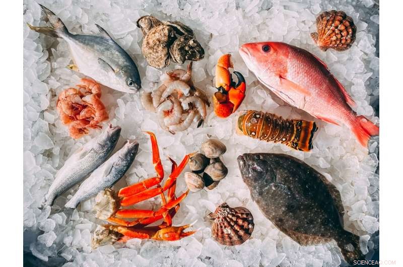 Replacing Meat with Seafood Boosts Nutrition and Lowers Emissions