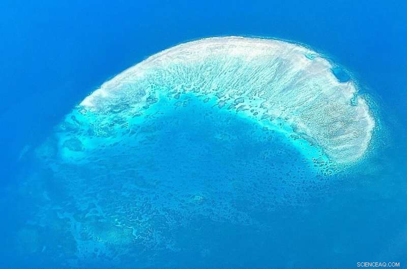 Scientists Warn Climate Models Fail to Accurately Predict Wave Damage to Coral Reefs