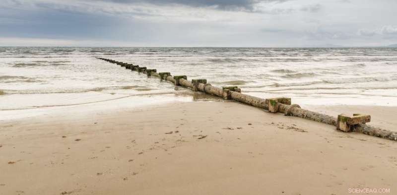 The Hidden Crisis: Why the UK Water Industry Fails to Protect Our Seas