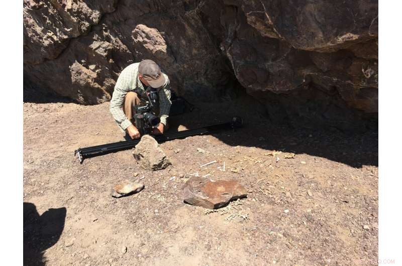 Ecological Tipping Point: Five or More El Niño Events a Century Transform Coastal Communities