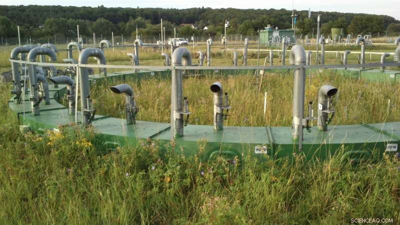 Tree Planting Alone Won’t Secure Long‑Term Carbon Sequestration: New Study Warns