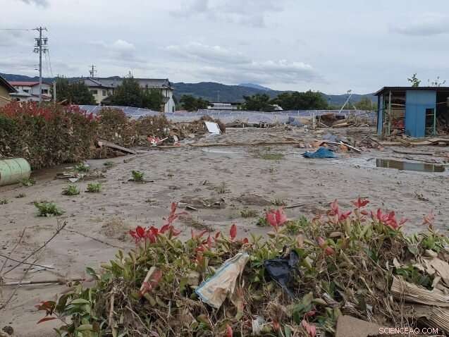 Climate-Proofing the Energy Transition: Securing Renewables Against Extreme Weather