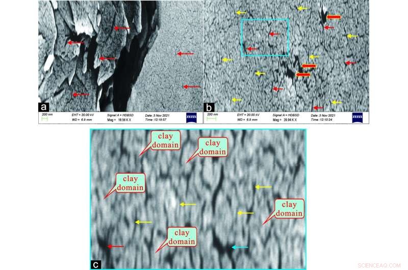 New Research Uncovers Nanoscale Features of the Gulong Shale Oil Reservoir