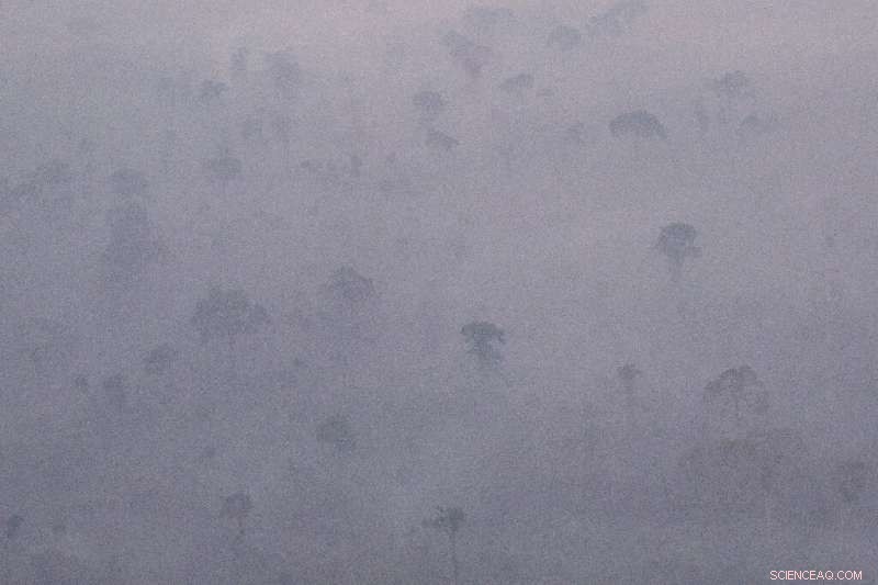 UN Warns Heatwaves and Wildfires Will Exacerbate Air Pollution