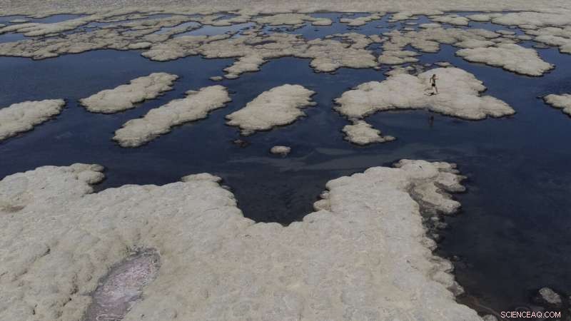 California and the West Grapple with Record‑Breaking Heat Wave