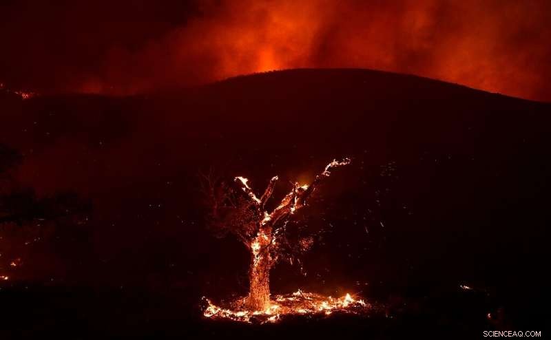 Western US Heat Wave Expected to Ease, But Fire Risk Remains High: Forecast