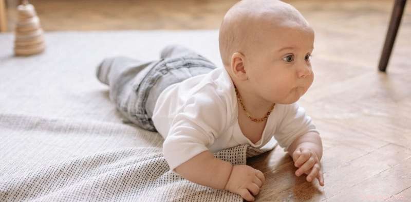 New Study Reveals Widespread Microplastic Presence in Homes of 29 Countries, Identifying High‑Risk Groups