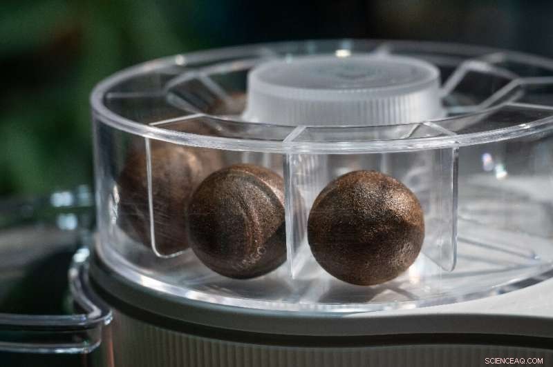 Migros Unveils 100% Compostable Coffee Balls to Challenge Nespresso