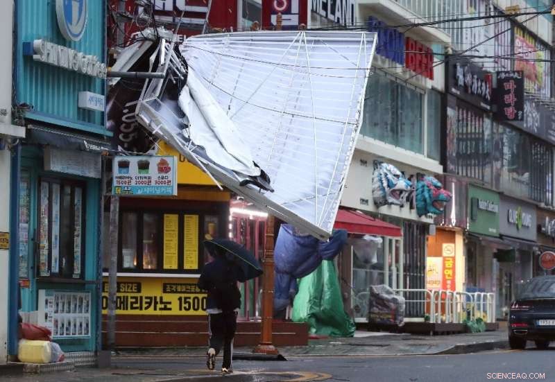 Typhoon Hinnamnor Claims One Life, Leaves Nine Missing in Jeju, South Korea