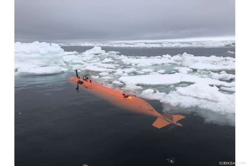 New Seafloor Images Reveal Unexpected Dynamics Behind Thwaites Glacier Retreat