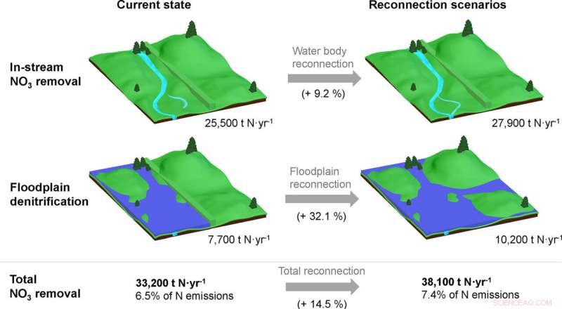 River Floodplains: Natural Filters Enhancing Water Quality