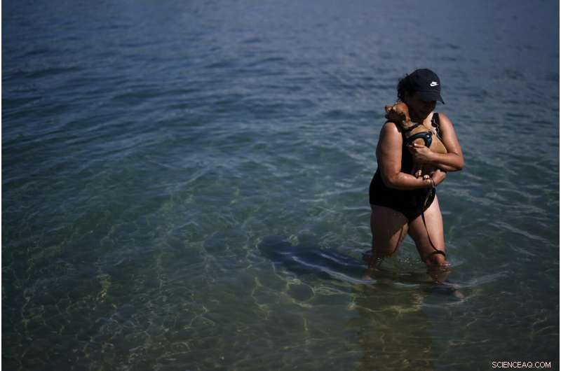 California Residents Urged to Reduce Energy Use During Intense Heat Wave