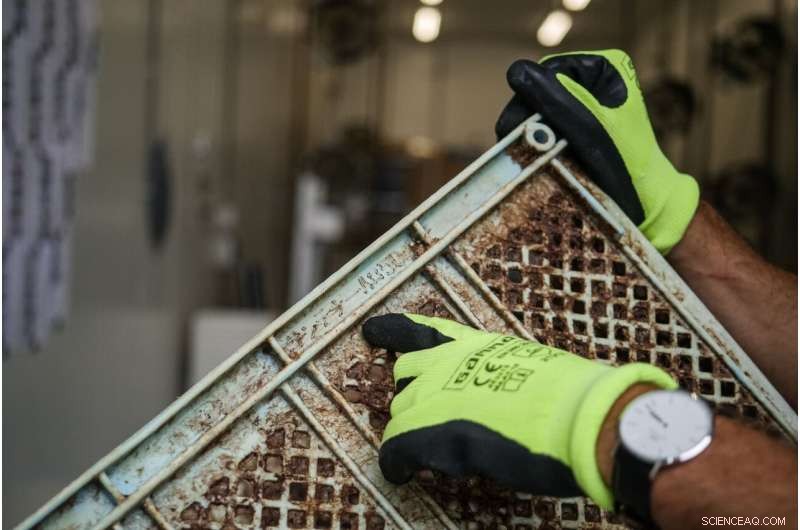 90% of North Pacific Garbage Patch Trash Originates from Six Countries: New Research Highlights Global Plastic Pollution