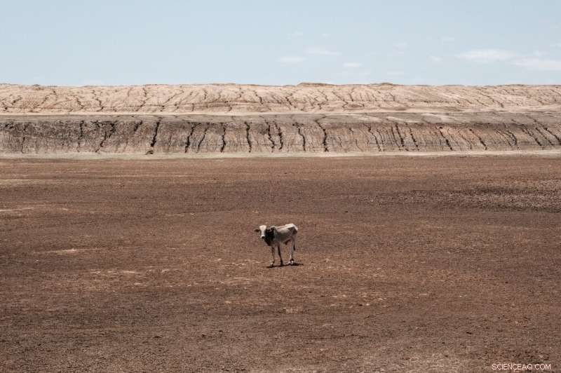 African Nations Commit to 1.5°C Climate Goal Ahead of UN Talks
