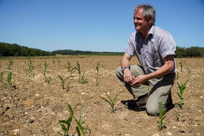 England’s 2022 Summer Sets Joint Record for Highest Temperatures Amid Drought