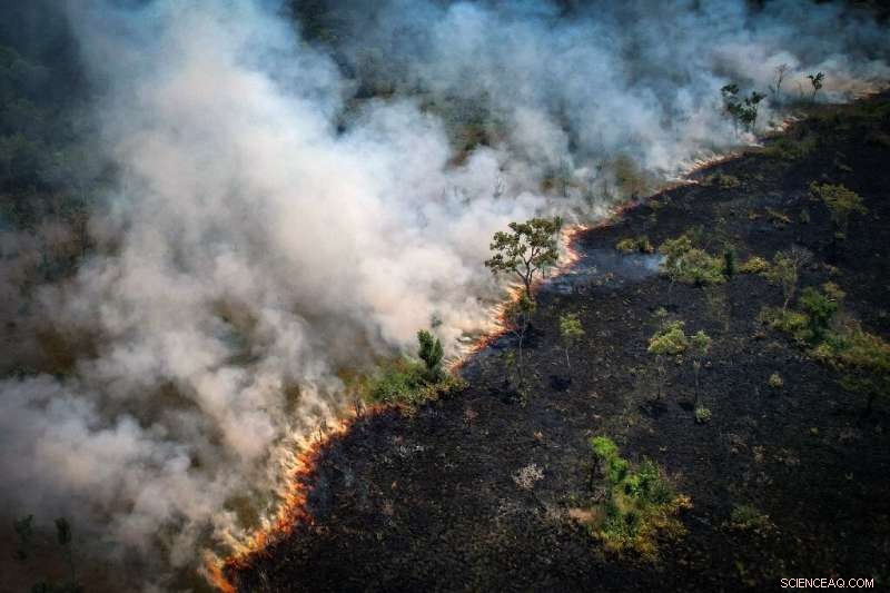 Brazilian Amazon Experiences Record-Breaking August Fires – 12-Year Peak