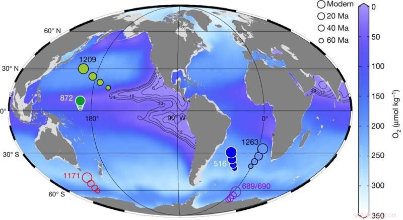 Scientists Find Warm Periods Reduced Oxygen‑Poor Ocean Zones