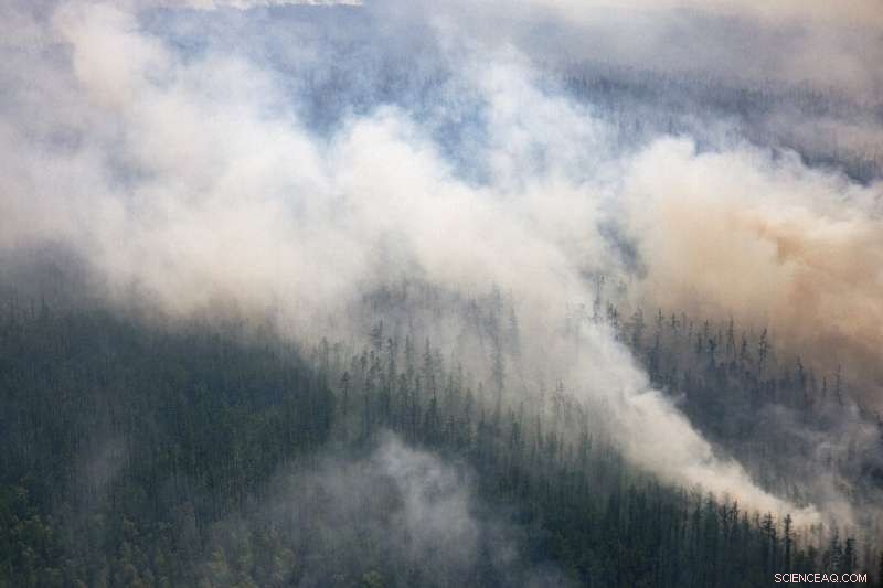 NOAA Reports Record 2021 Levels for Greenhouse Gases and Sea Levels