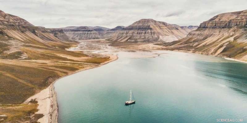 Unraveling the Drivers Behind Arctic Greening on Spitsbergen