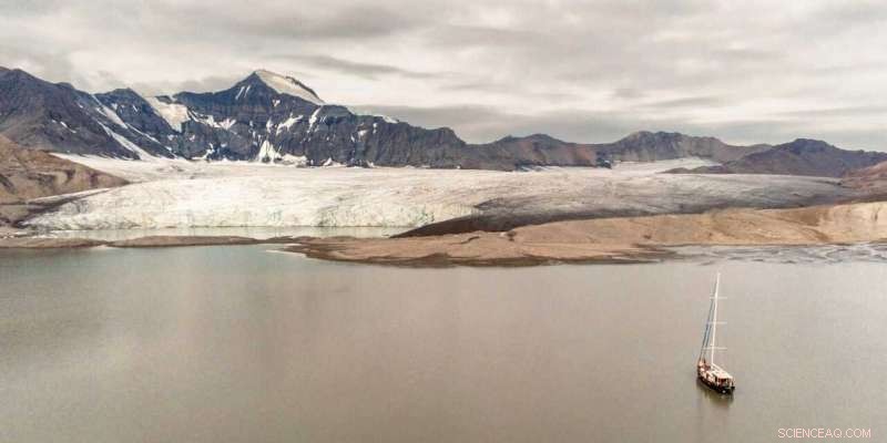 Unraveling the Drivers Behind Arctic Greening on Spitsbergen