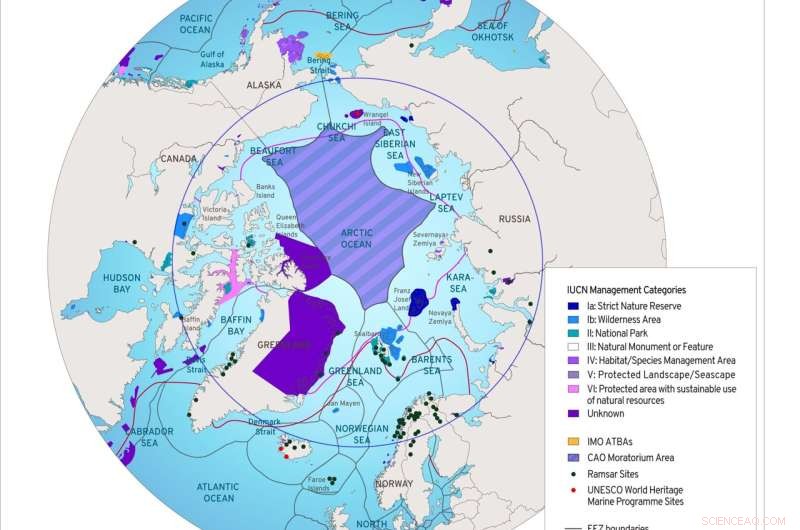 Protecting Arctic Marine Ecosystems: Urgent Action Needed as Ice Melts