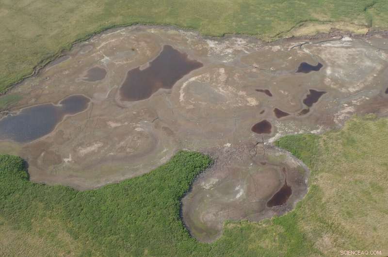 Arctic Lakes Drying Rapidly: New Climate Study Reveals Alarming Loss