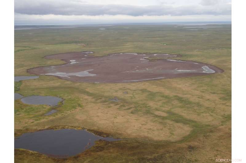 Arctic Lakes Drying Rapidly: New Climate Study Reveals Alarming Loss