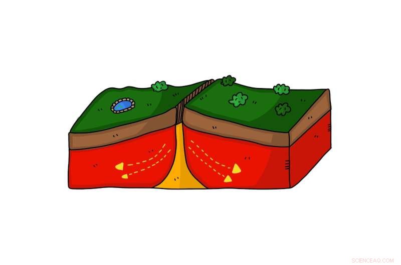 Land Plant Evolution Drastically Alters Earth s Crust Composition, New Study Reveals