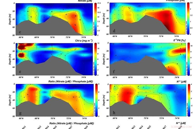 The Hidden Role of the Biological Pump in Mitigating the Pacific Arctic Nitrogen Deficit