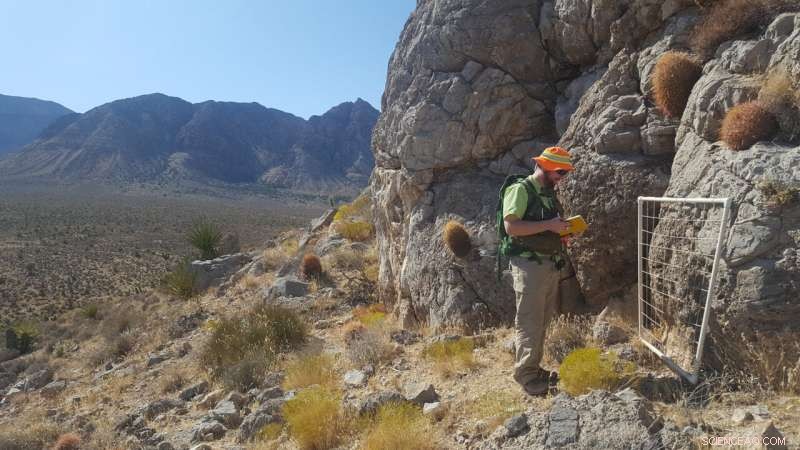 Massive 5‑Myr‑Old Nevada Landslide Covered an Area the Size of Cincinnati