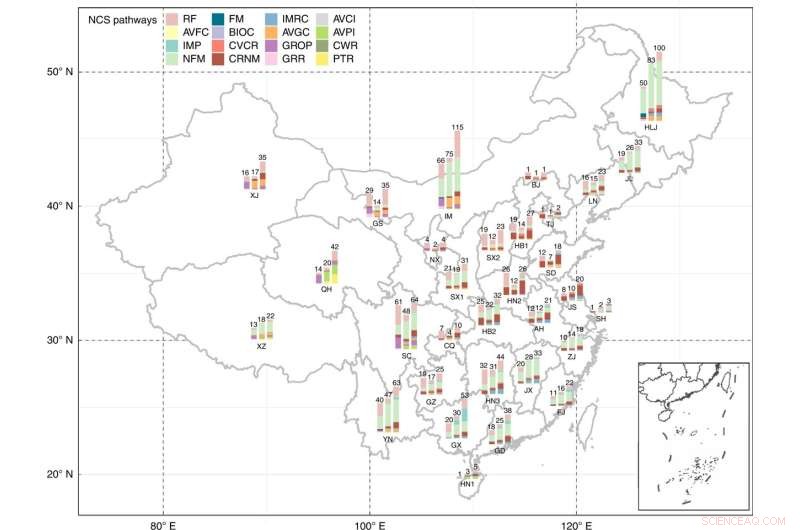 Harnessing Natural Climate Solutions to Reduce China’s Carbon Footprint