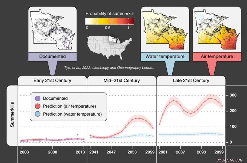Climate Change Drives Rising Fish Mass Die-Offs, Threatening Ecosystems and Food Supply