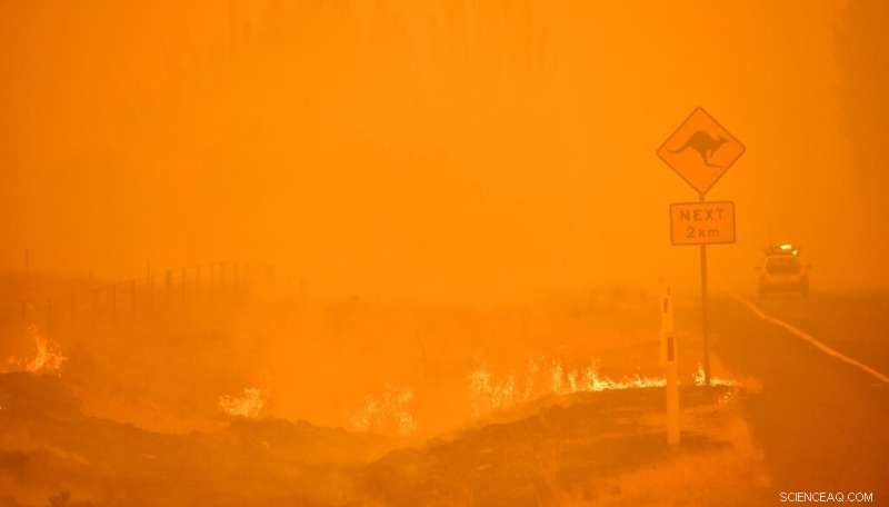 Study Links Australia’s 2019‑20 Black Summer Bushfires to Ozone Layer Damage